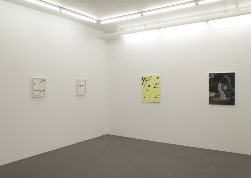 The Secret Paintings, Galleri Flach, Stockholm  2014